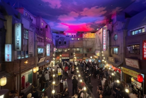 Tokyo: privat tur til skjulte perler med henting på hotellet