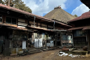 Tokyo: privat tur til skjulte perler med henting på hotellet