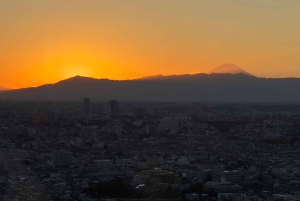 Tokyo: privat tur til skjulte perler med henting på hotellet