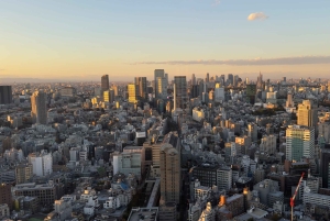 Tokyo: privat tur til skjulte perler med henting på hotellet