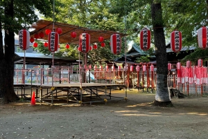 Tokyo: privat tur til skjulte perler med henting på hotellet