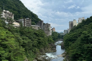 Tokyo: privat tur til skjulte perler med henting på hotellet