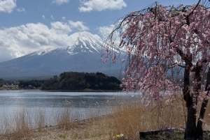 Tokyo: privat tur til skjulte perler med henting på hotellet