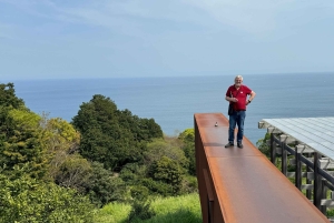 Tokyo: privat tur til skjulte perler med henting på hotellet