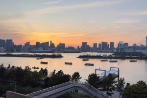 Tokyo: privat tur til skjulte perler med henting på hotellet