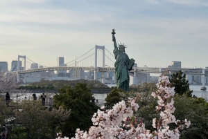 Tokyo: privat tur til skjulte perler med henting på hotellet