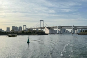 Tokyo: privat tur til skjulte perler med henting på hotellet