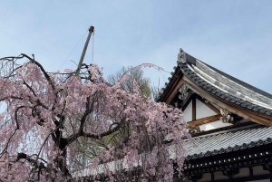 Tokyo: privat tur til skjulte perler med henting på hotellet