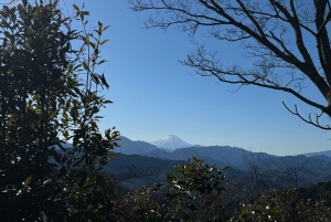 Tokyo: privat tur til skjulte perler med henting på hotellet