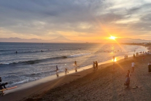Tokyo: privat tur til skjulte perler med henting på hotellet