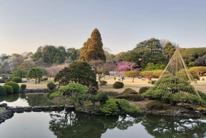 Tokyo: privat tur til skjulte perler med henting på hotellet