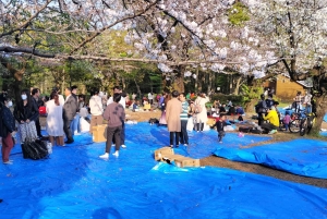 Tokyo: privat tur til skjulte perler med henting på hotellet