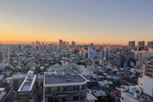 Tokyo: privat tur til skjulte perler med henting på hotellet