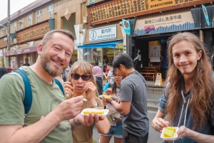 Privat lokal byvandring i Tokyo (seværdigheder på 1 dag)