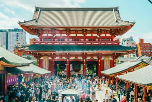 Privat lokal byvandring i Tokyo (seværdigheder på 1 dag)