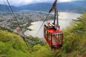 Tokyo : visite privée de luxe au mont Fuji avec guide anglophone