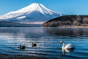 Tokyo : visite privée de luxe au mont Fuji avec guide anglophone