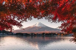 Tokyo : visite privée de luxe au mont Fuji avec guide anglophone
