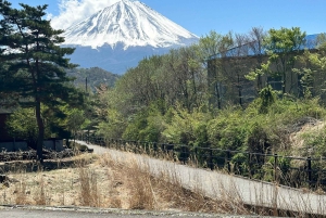 Tokyo : visite privée de luxe au mont Fuji avec guide anglophone