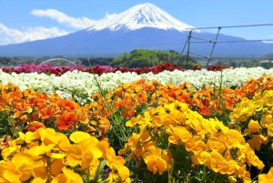Tokyo : visite privée de luxe au mont Fuji avec guide anglophone