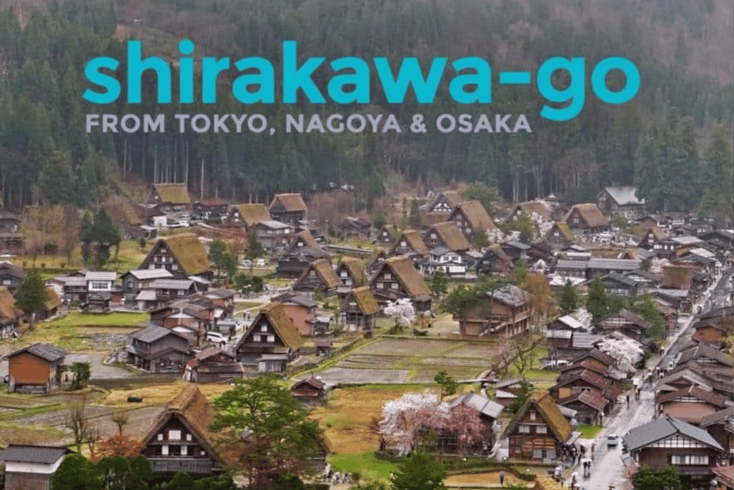 Tokyo: Private Luxury Transfer to/from Shirakawa go (1 way)