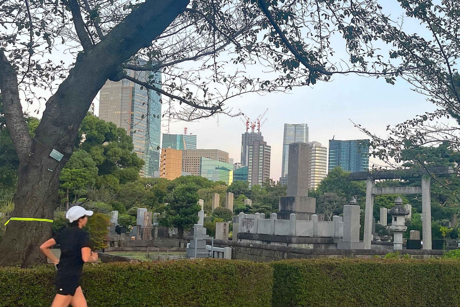 Tokyo: privat morgenløp med sento-bad