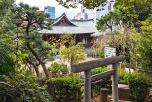 Tokio: Yksityinen aamujuoksukierros ja sento-kylpy