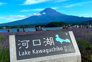 Tokio: Prywatna wycieczka 1-dniowa na górę Fuji i do Hakone z przewodnikiem
