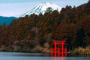 Tokio: Prywatna wycieczka 1-dniowa na górę Fuji i do Hakone z przewodnikiem