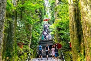 Tokyo: Privat dagsutflykt till Fuji-berget och Hakone med guide