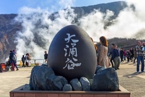 Tokyo: Privat dagsutflykt till Fuji-berget och Hakone med guide