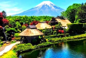 Tokyo: Privat dagsutflykt till Fuji-berget och Hakone med guide
