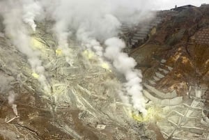 Tokyo: Privat dagsutflykt till Fuji-berget och Hakone med guide