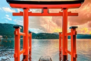 Tokyo: Privat dagsutflykt till Fuji-berget och Hakone med guide