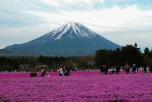 Tokyo: Private Mount Fuji Tour with Pickup and Drop-Off