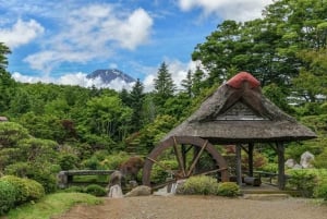 Tokyo: Private Mount Fuji Tour with Pickup and Drop-Off