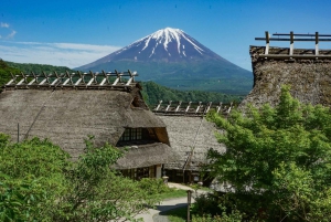 Tokyo: Private Mount Fuji Tour with Pickup and Drop-Off