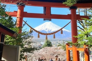 Tokyo: Private Mount Fuji Tour with Pickup and Drop-Off