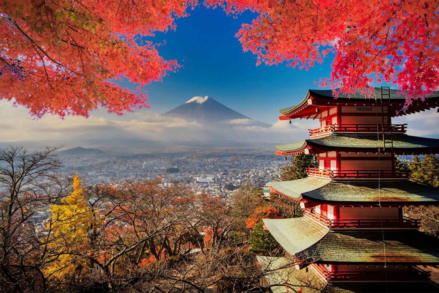 Tokio: Tour privado al monte Fuji: las mejores vistas - Experto local