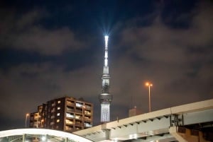 Tokyo: Private Night Cruise with Food and Drinks