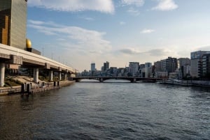 Tokyo: Private Night Cruise with Food and Drinks