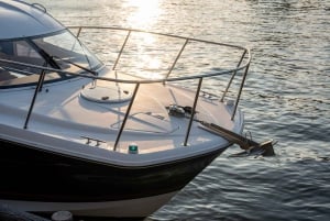 Tokyo: Private Night Cruise with Food and Drinks