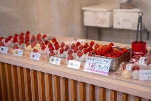 Tokyo: Private Night Cruise with Food and Drinks