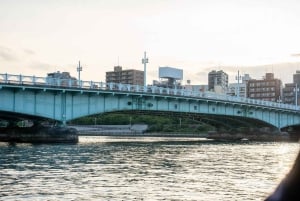 Tokyo: Private Night Cruise with Food and Drinks
