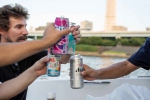 Tokyo: Private Night Cruise with Food and Drinks