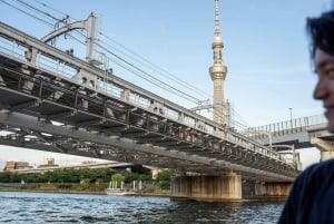 Tokyo: Private Night Cruise with Food and Drinks