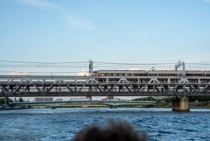 Tokyo: Private Night Cruise with Food and Drinks