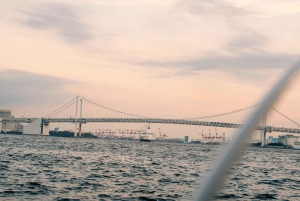 Tokyo: Private Night Cruise with Food and Drinks