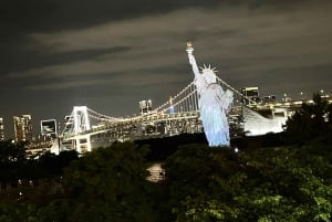 Tokyo: privat kveldstur med henting på hotellet