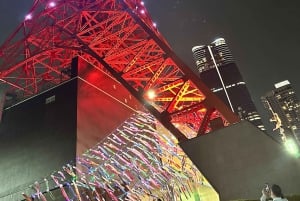 Tokyo: privat kveldstur med henting på hotellet